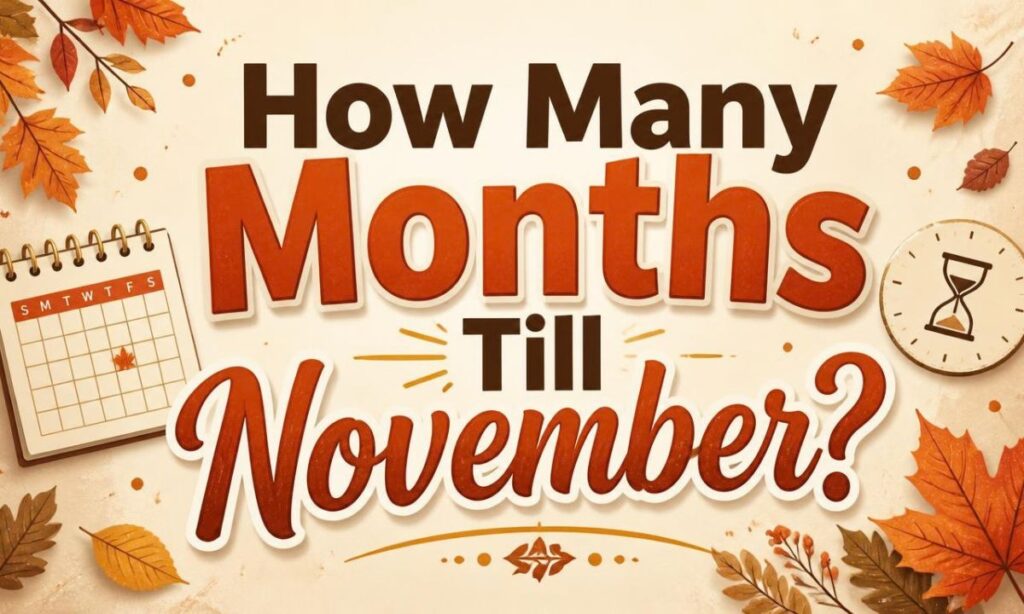 How Many Months Till November?